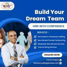 BMS Consulting Services